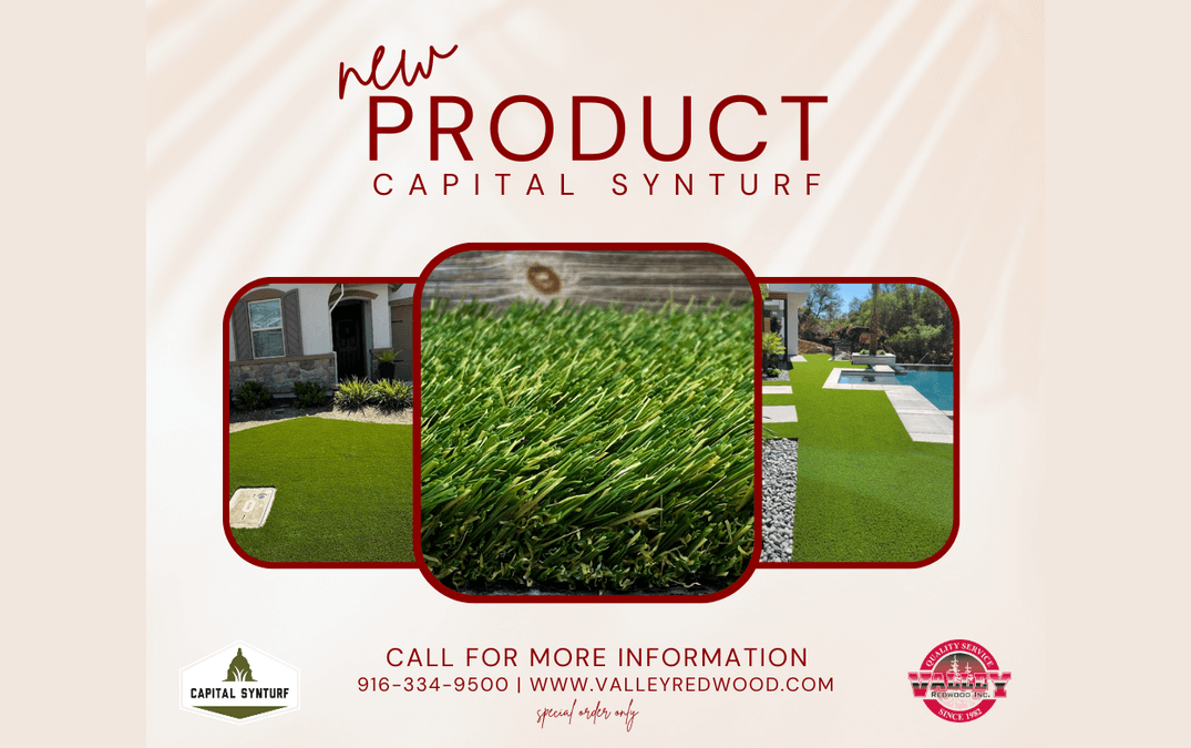 New Product – Capital Synturf